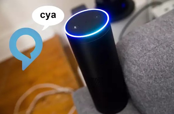 alexa 使用_alexa助手_alexa语音助手安装